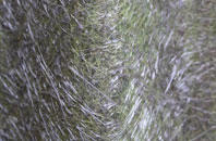 Bufflers Holt fibreglass roof work